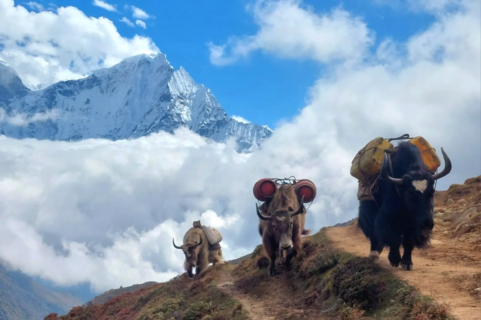 Structured complexity